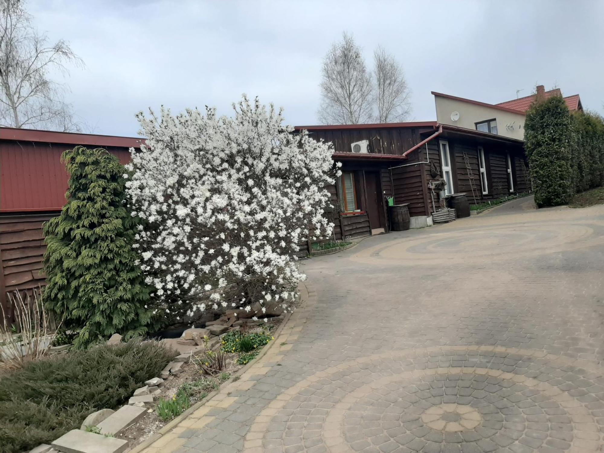Zielone Zacisze Apartment Zagnansk Exterior foto