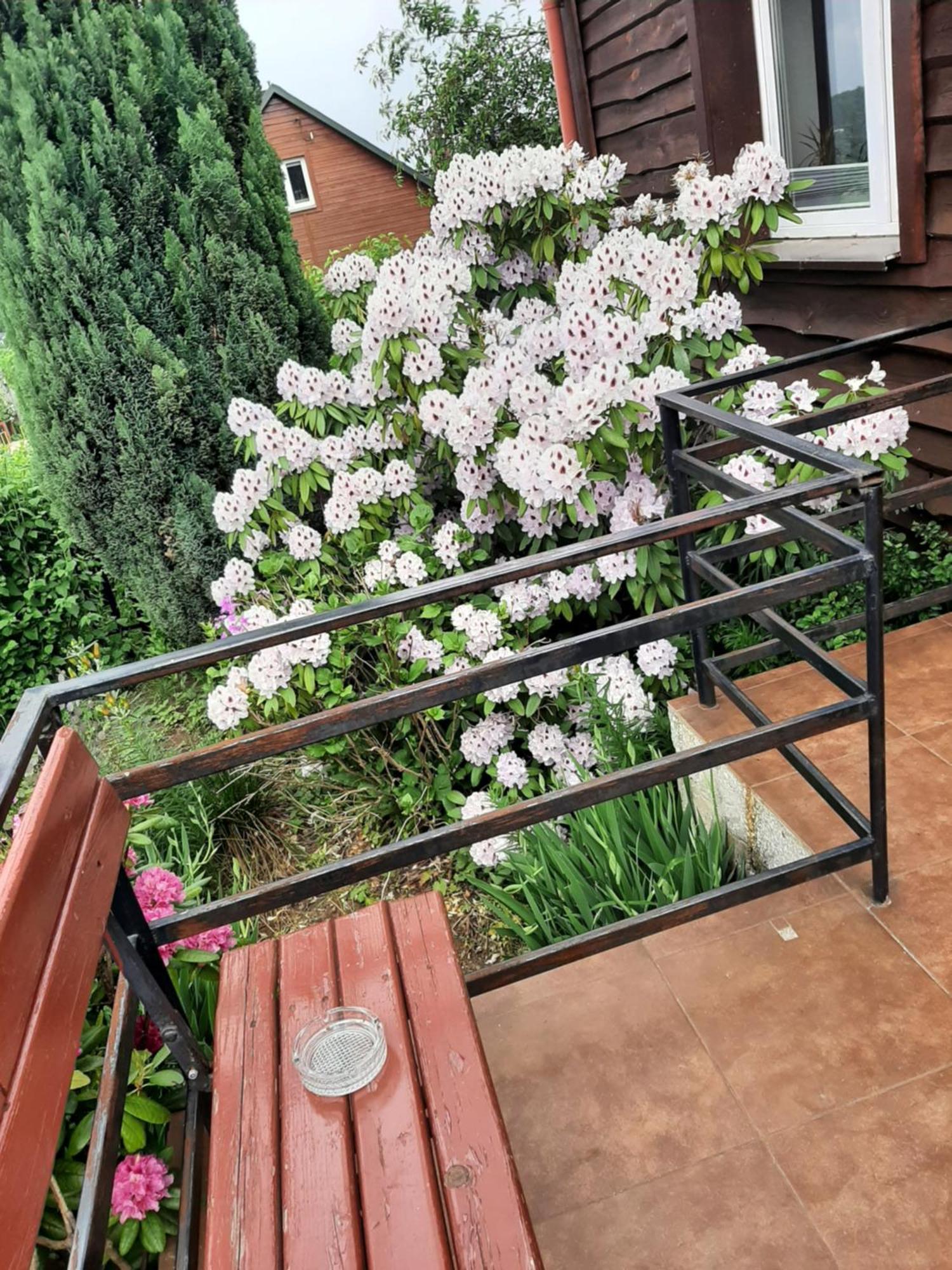 Zielone Zacisze Apartment Zagnansk Exterior foto